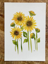 Load image into Gallery viewer, Sunflower Fields