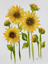 Load image into Gallery viewer, Sunflower Fields