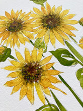 Load image into Gallery viewer, Sunflower Fields