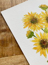 Load image into Gallery viewer, Sunflower Fields