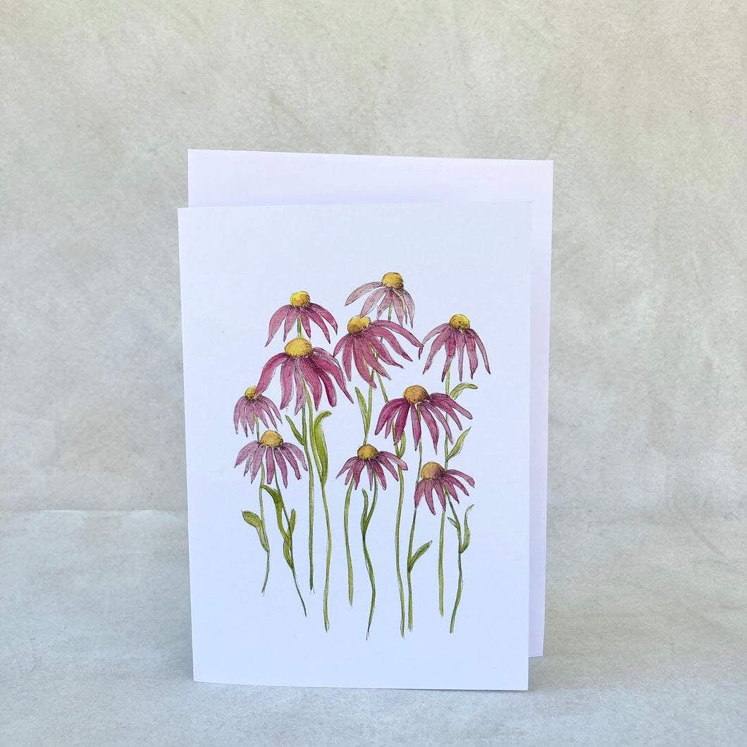 Echinacea Blooms - Card