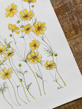 Load image into Gallery viewer, Yellow Cosmos Print