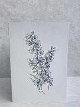 Load image into Gallery viewer, Sky Blue Delphinium

