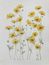 Load image into Gallery viewer, Yellow Cosmos Print