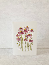 Load image into Gallery viewer, Echinacea