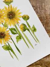 Load image into Gallery viewer, Sunflower Fields