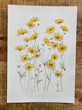 Load image into Gallery viewer, Yellow Cosmos Print