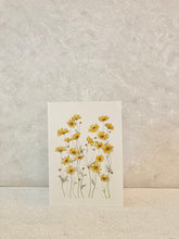 Load image into Gallery viewer, Yellow Cosmos Flowers