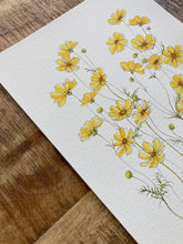 Load image into Gallery viewer, Yellow Cosmos Print