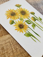Load image into Gallery viewer, Sunflower Fields
