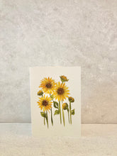 Load image into Gallery viewer, Sunflower Fields