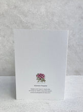 Load image into Gallery viewer, Rainbow Poppies