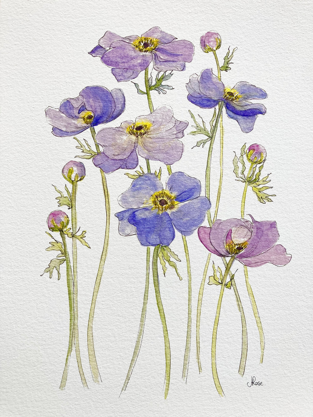 Lilac Anemones Print