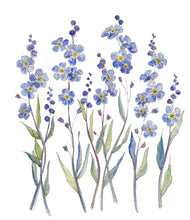 Load image into Gallery viewer, Blue Forget Me Not Print
