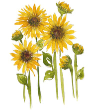 Load image into Gallery viewer, Sunflower Fields