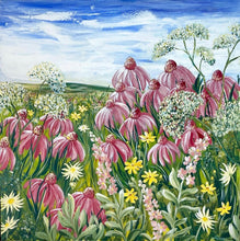 Load image into Gallery viewer, Echinacea
