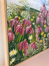 Load image into Gallery viewer, Echinacea