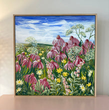 Load image into Gallery viewer, Echinacea